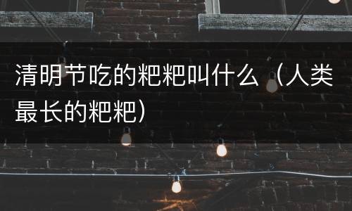 清明节吃的粑粑叫什么（人类最长的粑粑）