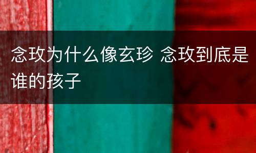 念玫为什么像玄珍 念玫到底是谁的孩子