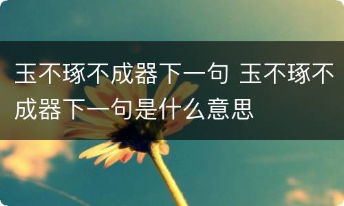 玉不琢不成器下一句 玉不琢不成器下一句是什么意思