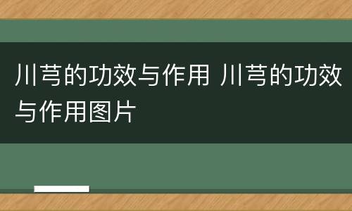 川芎的功效与作用 川芎的功效与作用图片
