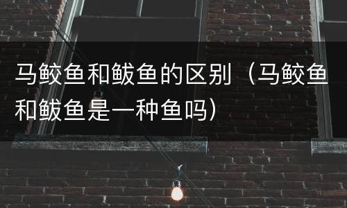 马鲛鱼和鲅鱼的区别（马鲛鱼和鲅鱼是一种鱼吗）
