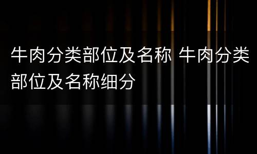 牛肉分类部位及名称 牛肉分类部位及名称细分