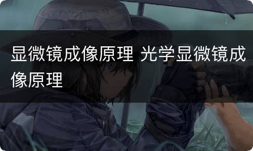 显微镜成像原理 光学显微镜成像原理