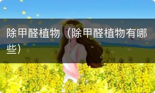 除甲醛植物(除甲醛植物有哪些)