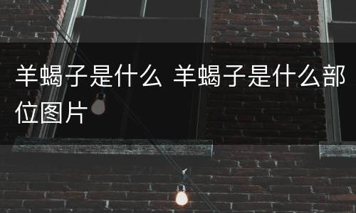 羊蝎子是什么 羊蝎子是什么部位图片