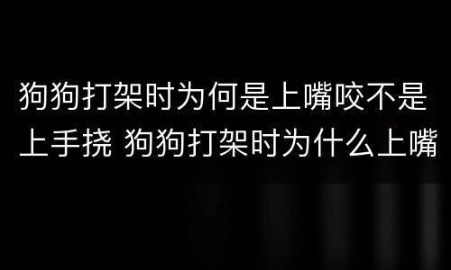 狗狗打架时为何是上嘴咬不是上手挠 狗狗打架时为什么上嘴咬
