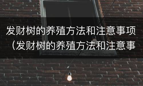 发财树的养殖方法和注意事项（发财树的养殖方法和注意事项浇水）