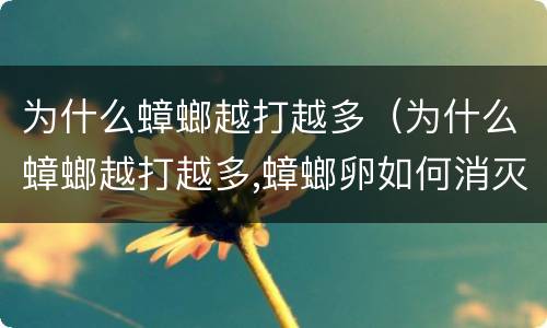 为什么蟑螂越打越多（为什么蟑螂越打越多,蟑螂卵如何消灭）