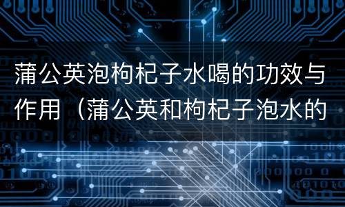 蒲公英泡枸杞子水喝的功效与作用（蒲公英和枸杞子泡水的功效）