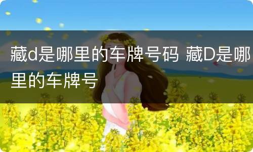 藏d是哪里的车牌号码 藏D是哪里的车牌号