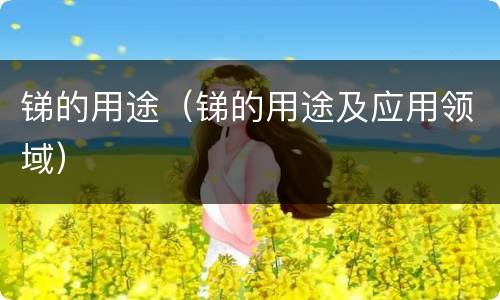 锑的用途（锑的用途及应用领域）