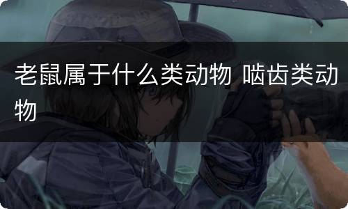 老鼠属于什么类动物 啮齿类动物