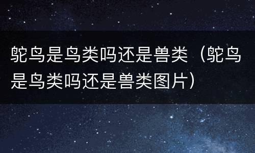 鸵鸟是鸟类吗还是兽类(鸵鸟是鸟类吗还是兽类图片)