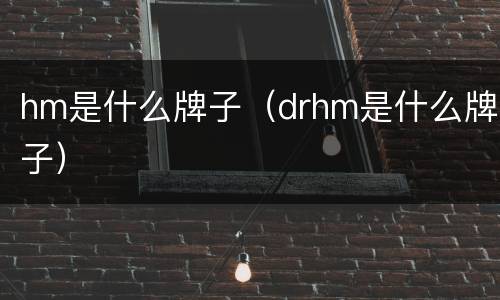 hm是什么牌子(drhm是什么牌子)