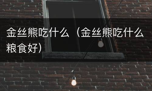 金丝熊吃什么（金丝熊吃什么粮食好）