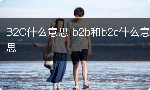 B2C什么意思 b2b和b2c什么意思