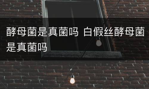 酵母菌是真菌吗 白假丝酵母菌是真菌吗