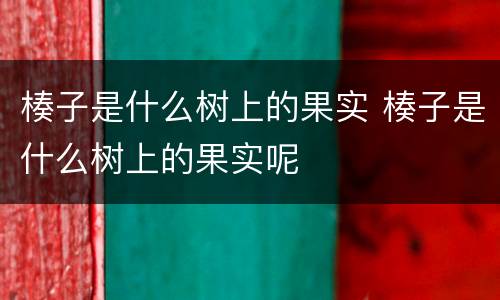 楱子是什么树上的果实 楱子是什么树上的果实呢