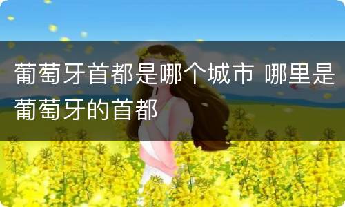 葡萄牙首都是哪个城市 哪里是葡萄牙的首都