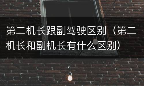 第二机长跟副驾驶区别（第二机长和副机长有什么区别）