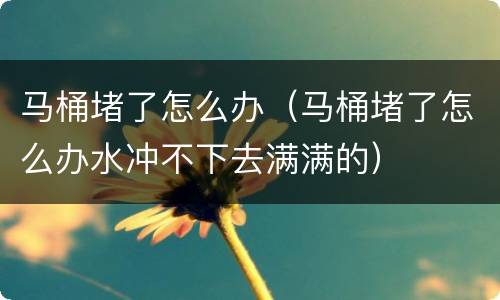 马桶堵了怎么办（马桶堵了怎么办水冲不下去满满的）