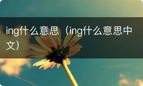 ing什么意思（ing什么意思中文）