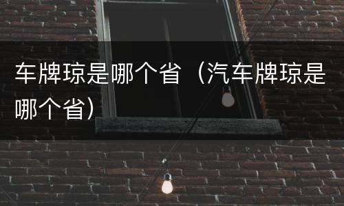 车牌琼是哪个省（汽车牌琼是哪个省）