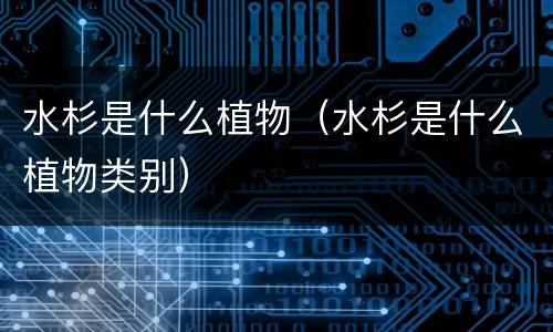 水杉是什么植物（水杉是什么植物类别）