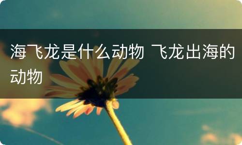 海飞龙是什么动物 飞龙出海的动物
