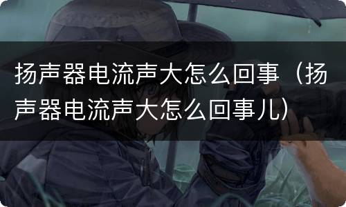 扬声器电流声大怎么回事（扬声器电流声大怎么回事儿）