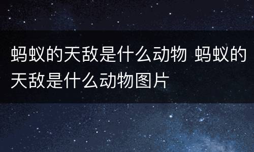蚂蚁的天敌是什么动物 蚂蚁的天敌是什么动物图片