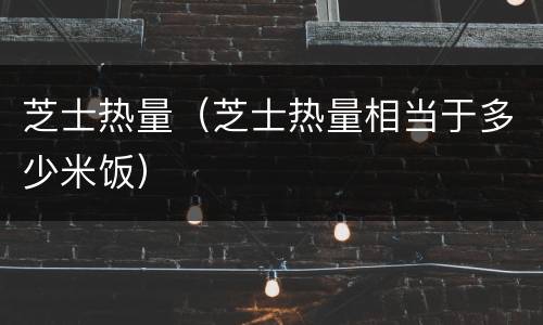 芝士热量（芝士热量相当于多少米饭）