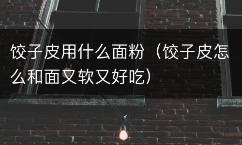 饺子皮用什么面粉（饺子皮怎么和面又软又好吃）