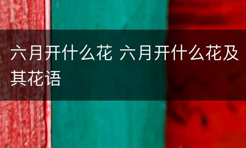 六月开什么花 六月开什么花及其花语