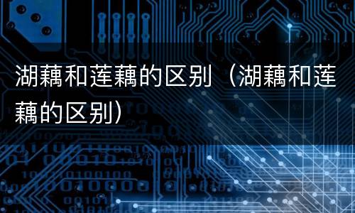 湖藕和莲藕的区别（湖藕和莲藕的区别）