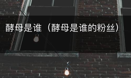 酵母是谁（酵母是谁的粉丝）