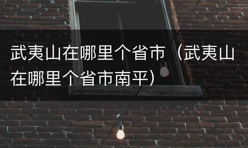 武夷山在哪里个省市（武夷山在哪里个省市南平）