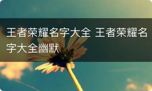 王者荣耀名字大全 王者荣耀名字大全幽默