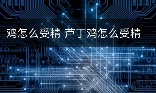 鸡怎么受精 芦丁鸡怎么受精