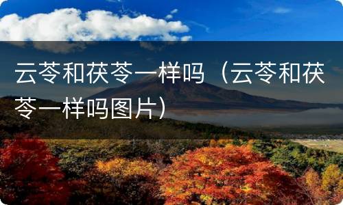 云苓和茯苓一样吗（云苓和茯苓一样吗图片）