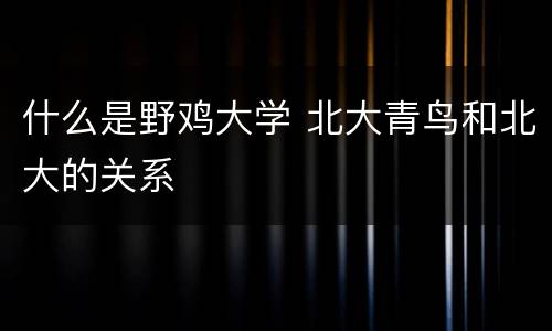 什么是野鸡大学 北大青鸟和北大的关系