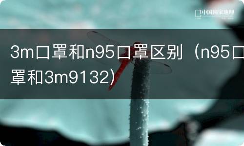 3m口罩和n95口罩区别（n95口罩和3m9132）