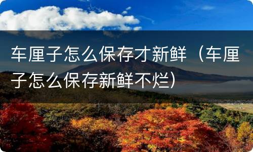 车厘子怎么保存才新鲜（车厘子怎么保存新鲜不烂）