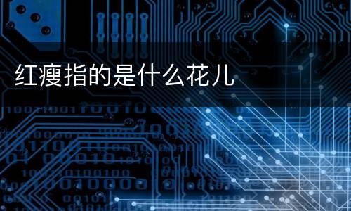 红瘦指的是什么花儿