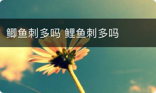 鲫鱼刺多吗 鲤鱼刺多吗