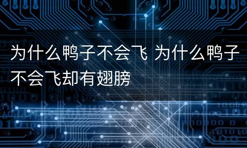 为什么鸭子不会飞 为什么鸭子不会飞却有翅膀