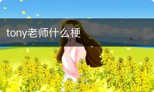 tony老师什么梗