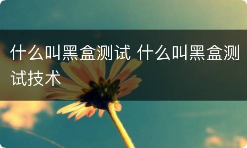 什么叫黑盒测试 什么叫黑盒测试技术