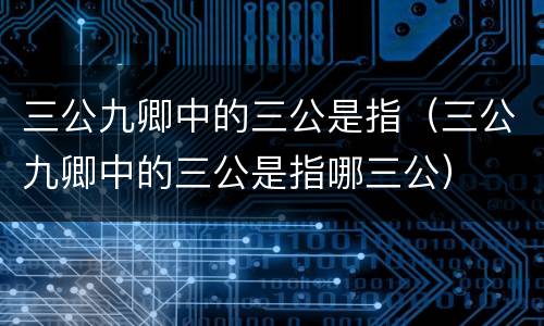 三公九卿中的三公是指（三公九卿中的三公是指哪三公）
