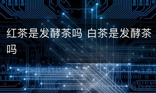 红茶是发酵茶吗 白茶是发酵茶吗